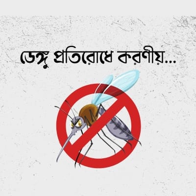 What to do to prevent dengue